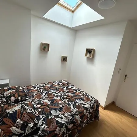 Apartamento 2 Climatisé Plein Centre Et Parking Albi